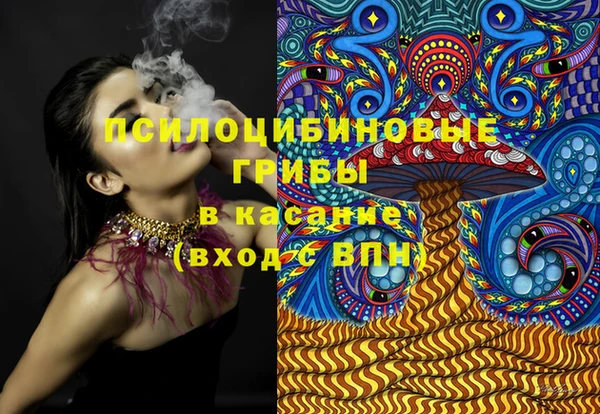 ПСИЛОЦИБИНОВЫЕ ГРИБЫ Алексеевка