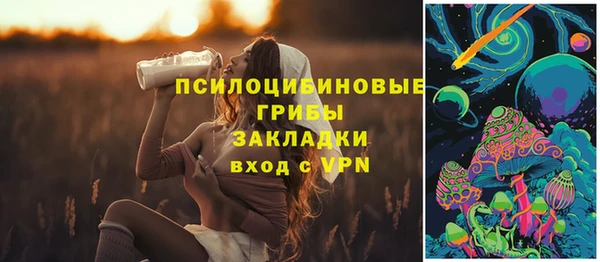ешки Алексин