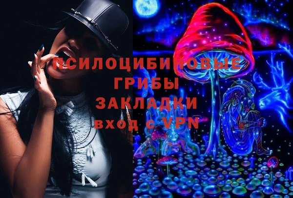 ПСИЛОЦИБИНОВЫЕ ГРИБЫ Алексеевка