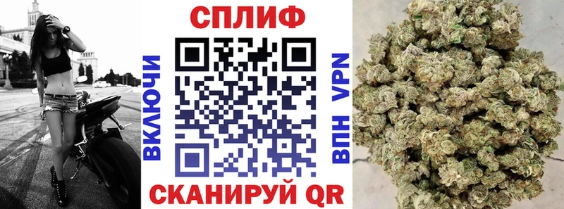 Каннабис SATIVA & INDICA KRAKEN как войти Новокубанск мориарти какой сайт купить сайты